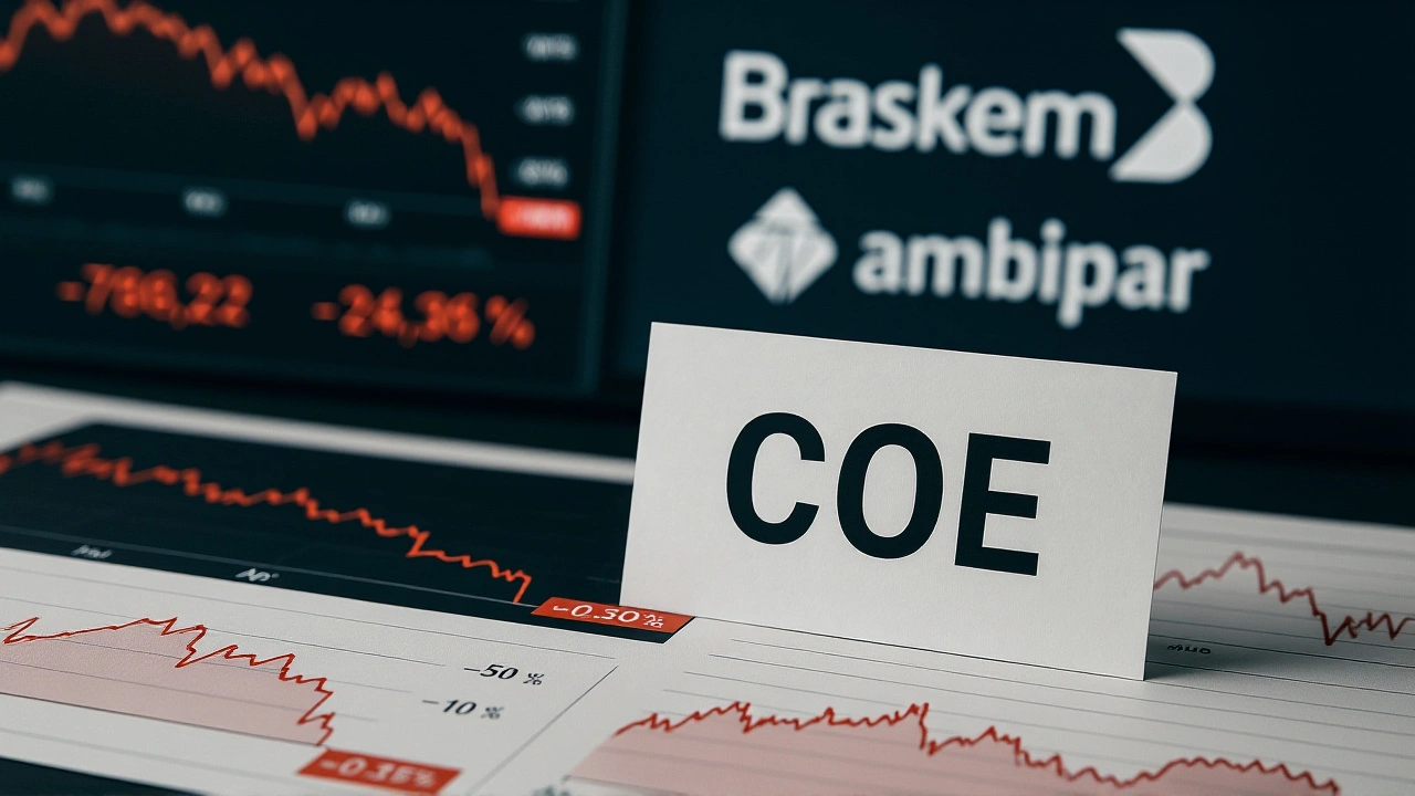 Análise de especialistas e riscos do mercado de COEs